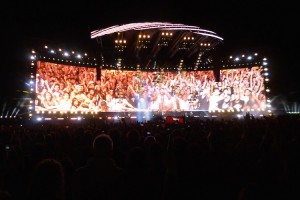 Ligabue5