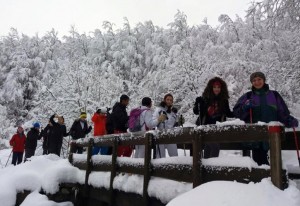 NeveStudenti